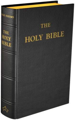 Douay-Rheims Bible [Standard size, black hardcover] Leather Bound – October 1, 2012