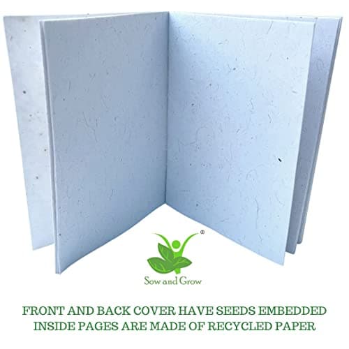 Sow and Grow Plantable Kit: 5 Seed Pens, Seed Diary | Corporate Gifting, Birthday Return Gift