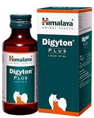 BULLYPET Digyton Plus Liquid Syrup for Dogs & Cats - 100 ml (Pack of 3)