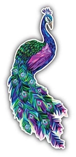 DG Graphics Polygonal Peacock Art Decor 3'' x 6'' Vinyl Decal Sticker Wall Window Any Smooth Surface