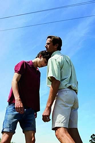 Gabriela 14inch x 21inch Call Me by Your Name Armie Hammer Timothée Chalamet Michael Stuhlbarg Amira Casar Waterproof Poster (Bathroom, Outdoors wherever you like) By