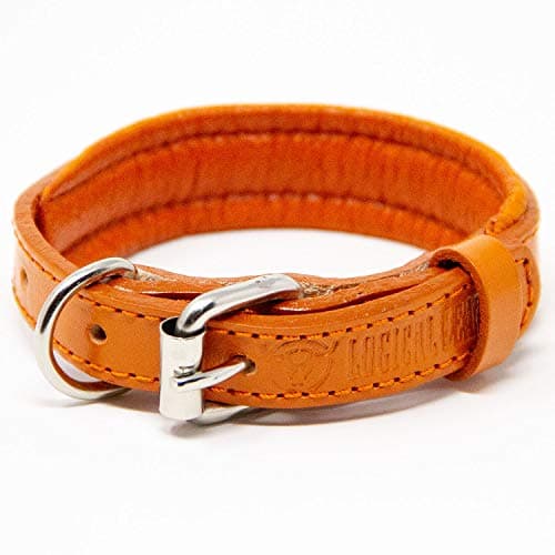 Logical Leather Padded Dog Collar - Best Full Grain Heavy Duty Genuine Leather Collars