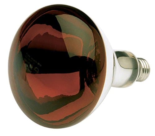 Murphy Infrared Bulb 150W / 230V (Red, Base-E 27, E27 ])