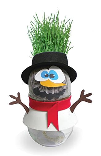 Toiing Plantoi Skippy The Snowman Unique Gift Plant Toy That Grows Real Grass