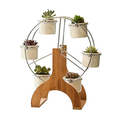 SweetLifeIdea Ceramic Garden Decor Planter Ferris Wheel Tabletop Flower Pot Succulent Plants Pot Cactus Pot Baby Succulent Bonsai Pot Gift Idea