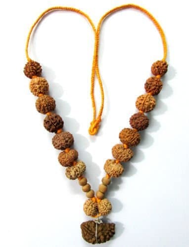 Rudraksha power Siddha Mala (1-14 Mukhi) Gori-Shankar,Ganesha Rudraksha
