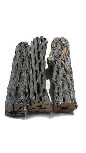 6" All Natural Cholla Wood Organic Untreated Aquarium Driftwood Decoration and Chew Toy Shrimp Crab Pleco Cichlid Nano Tanks Birds 1, 2, 3, 4, 5, 10, or 25 Pieces (3 Pieces, X-Large 6 inch)