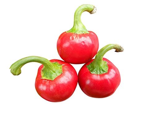 10 Cherry Bomb Red Hot Chile Pepper Seeds