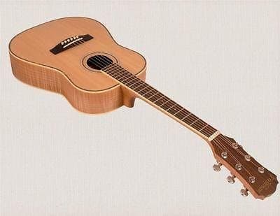 Freshman FA1TRAVLTD Electro Acoustic Guitar + TOM AND WILL GIG BAG