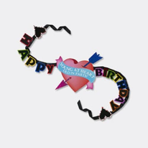 Glitterville Happy Birthday Young At Heart Old in Parts Party Garland