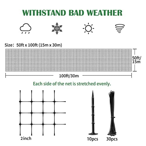 Heavy Duty Bird Net - 25' x 50' Chicken Coop Netting, 2" Mesh, Ideal for Garden, Aviary, Pests, Deer, Fruit Trees