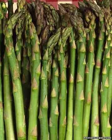 Asparagus Herb Seed F1 Hybrid Pack For Home Garden Planting And Gardening (Pack Of 1 Paket) (Asparagus).