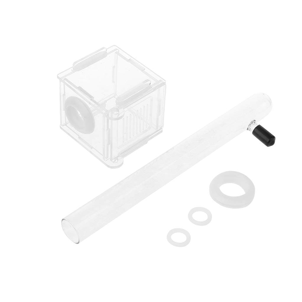 Jiay Mini Glass Ant Nest with Nest Tube with Acrylic Firm for Ants