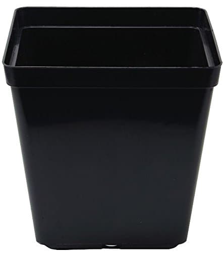 PLANT IT Square Pot 13cm - 1.5L - 13cm depth, Black