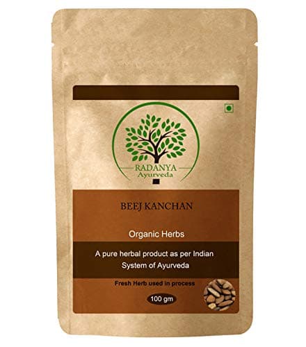 100% Natural Beej Kanchan | Michelia Champaca Seeds