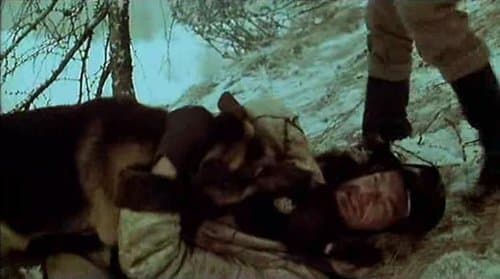 Jack London - Wolfsblut greift ein