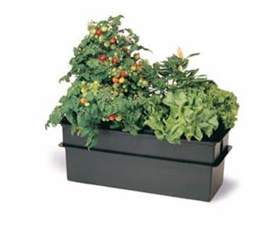 American Hydroponics Baby Bloomer