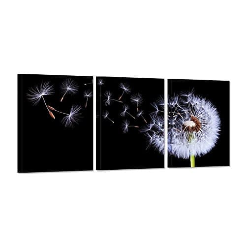 iHAPPYWALL 3 Pieces Dandelion Flower Canvas Wall Art Black and White Fluttering Nature Floral Picture Print Modern Home Bathroom Decor Stretched and Framed Ready to Hang 12x16inchx3pcs