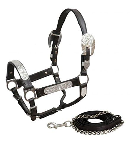 Showman YearlingSmall Horse Dark Leather Show Halter with Lead