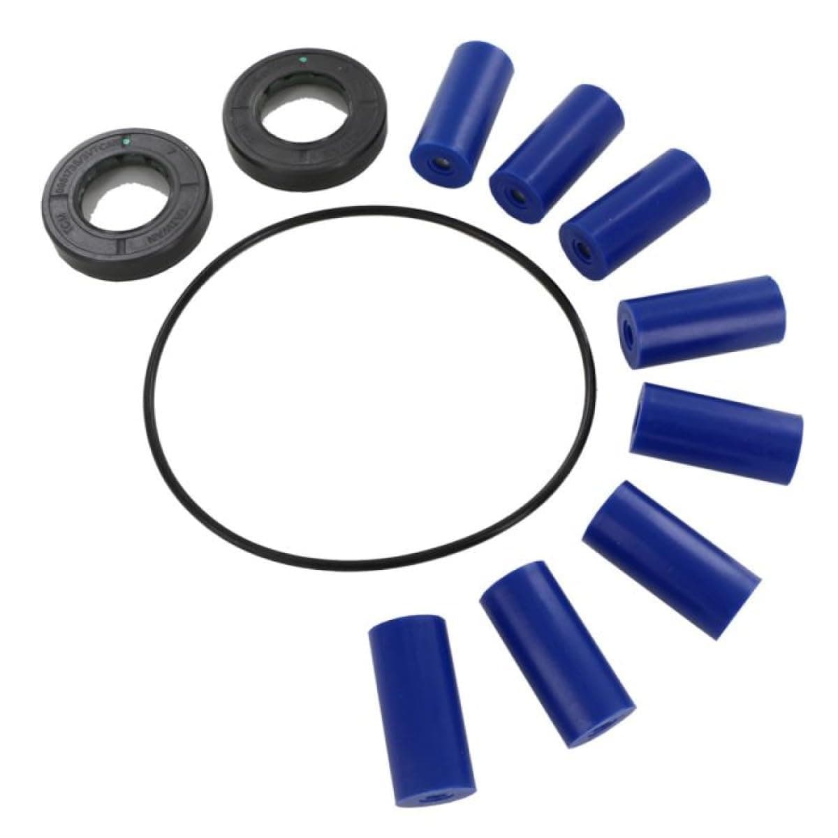 Hypro 3430-0381 Super Roller Repair Kit for Hypro 7560 Series 8-Roller Pump, Includes 8 Super Rollers, 1 O-Ring Gasket and 2 Viton Seals, 12 Ounce