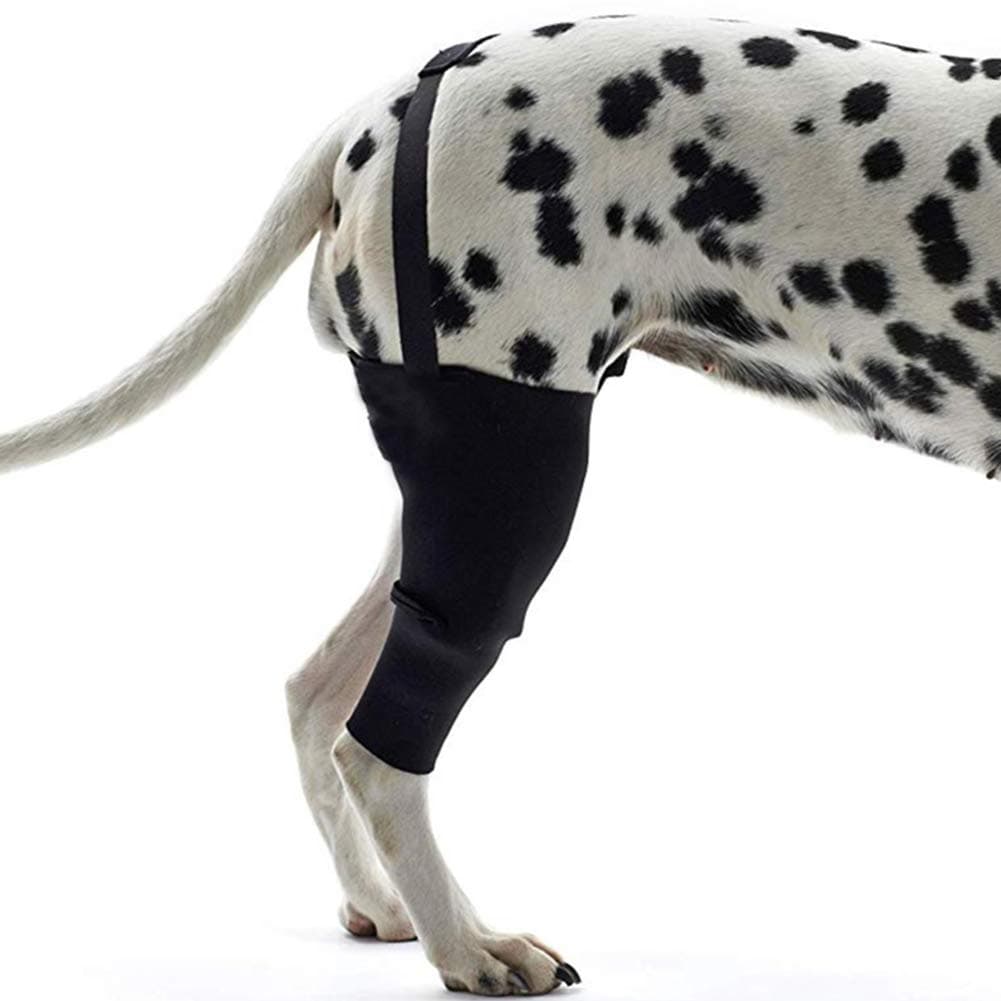 Dog Knee Support Sleeve Dog Leg Brace Rear Dog Hock Support Heals Hock Joint Wrap Sleeve for Hind Leg - Pet Brace Heals and Prevent Injuries, Wound Healing, Loss of Stability from Arthritis