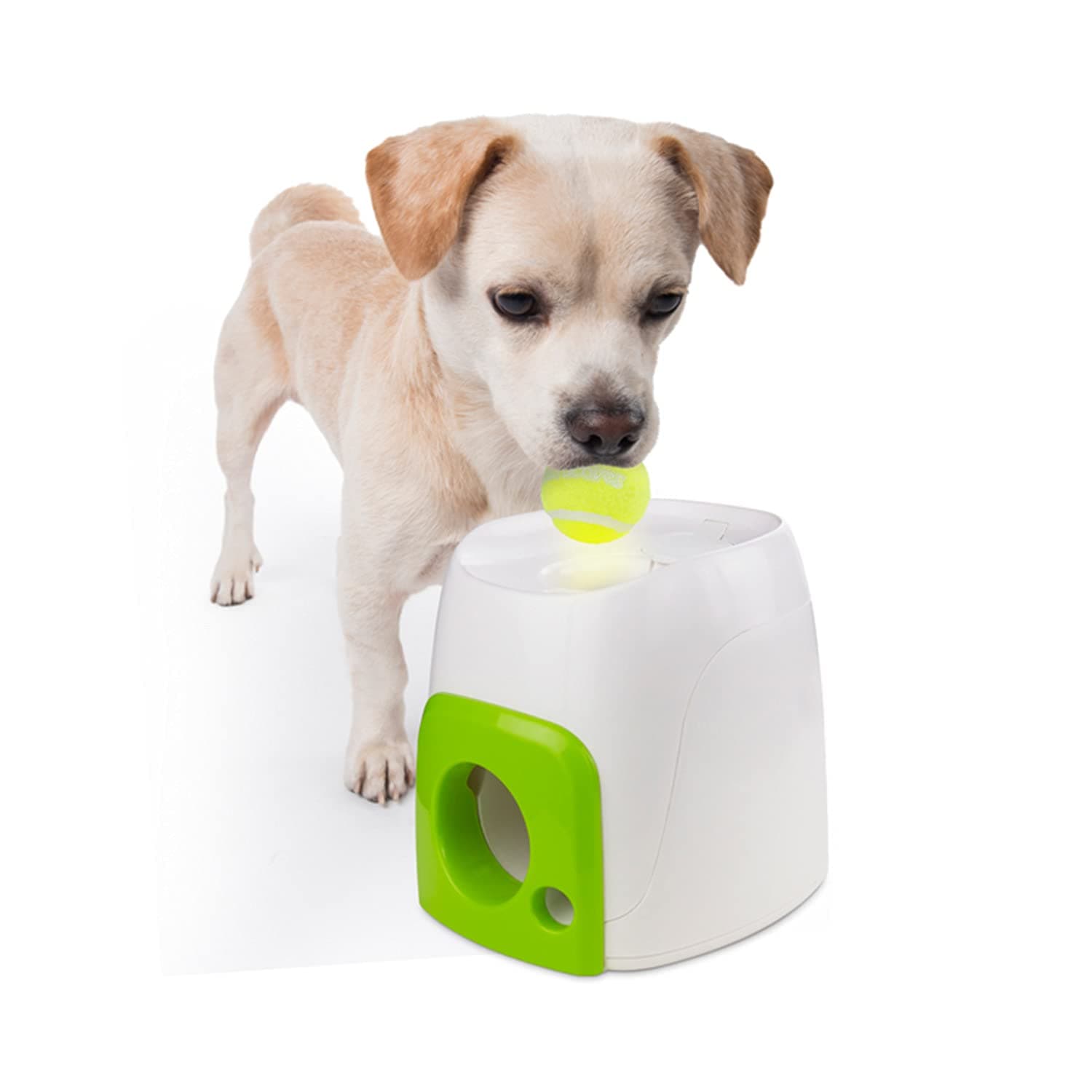 All For Paws Interactives Fetch'N Treat Toy Dogs, 6.3 Kg, 2073458