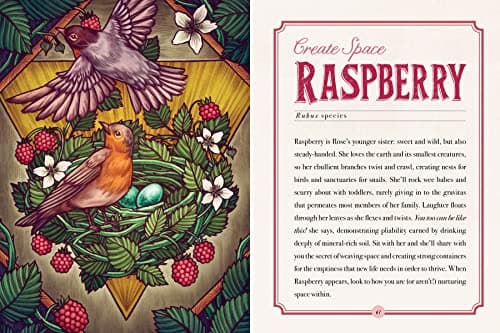 The Illustrated Herbiary: Guidance and Rituals from 36 Bewitching Botanicals (Wild Wisdom)