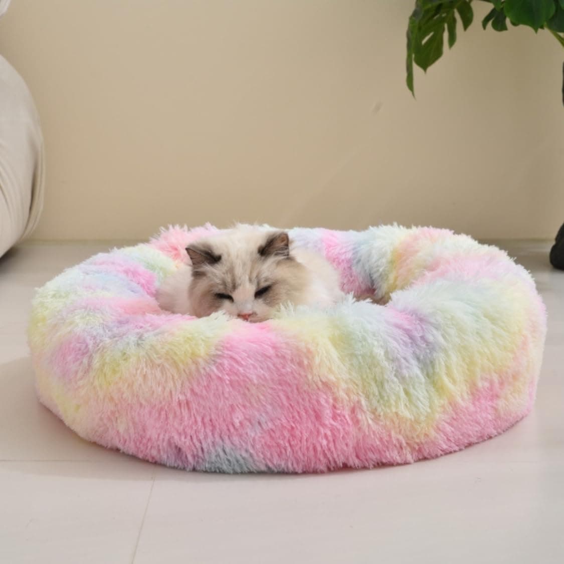ZEXSAZONE Summer Small Cat Bed Donut Shape for Kittens & Small Dogs | Soft Plush Washable Puppy Bed |Raised Sides for Head & Neck Support | Reversible 2-in-1 Pet Cushion Rainbow