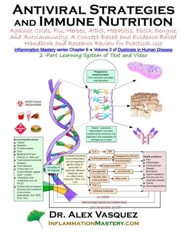 Antiviral Strategies and Immune Nutrition: Against Colds, Flu, Herpes, AIDS, Hepatitis, Ebola, and Autoimmunity: A Concept-Based and Evidence-Based ... Practical Use (Dysbiosis in Human Disease)
