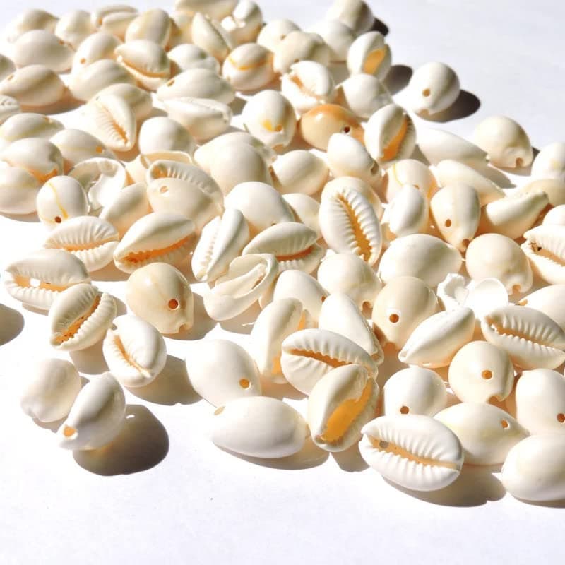 JPM Beads Drilled 1 Hole White Natural Strong Cowrie Shell Beads Smooth Cut Oval Seashells, Beach Seashells DIY Craft Jewelry Making (100 Pcs)