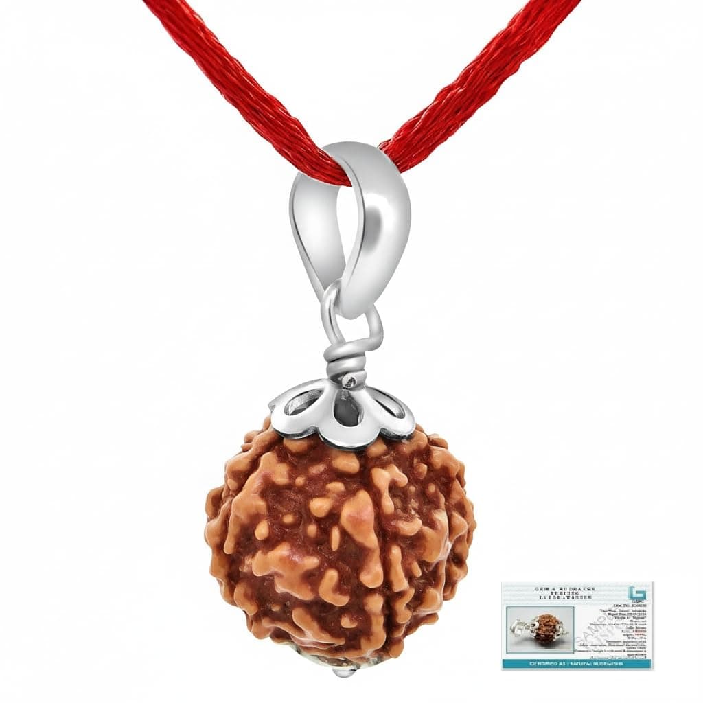 Nepali & Indian Rudraksha Pendant in 925 Sterling Silver – Natural, Certified, Spiritual Beads for Men & Women