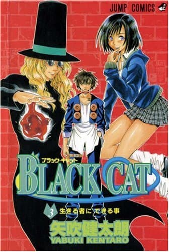 Black Cat, Vol. 3 (3)