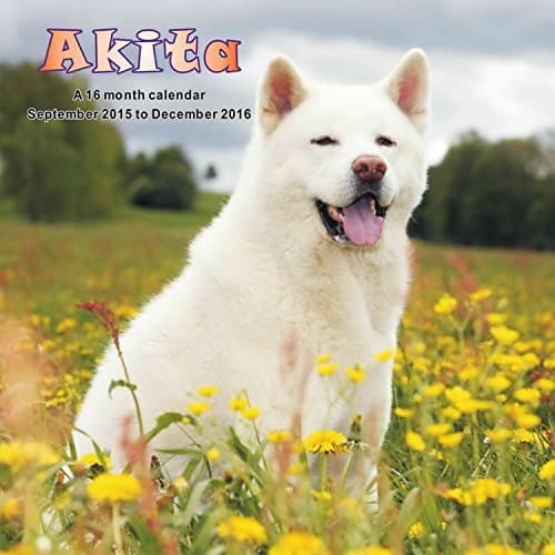Akita Wall Calendar 2016