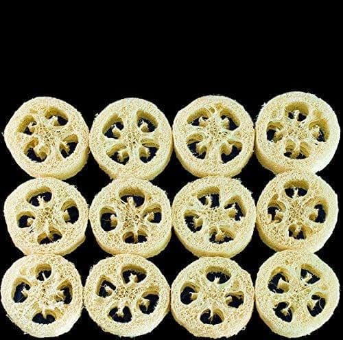 Premium Loofah Slices for Soap Making – Natural Luffa Cuts for DIY Soaping Products, Arts and Crafts – All Natural, Dry & Ready for Use Sliced Loofah (24pk)