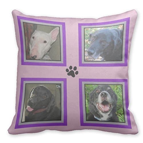 SweetyBox Pillow Cushion Cover Black Instagram 4 Photo Pet Family-Purple Frame-Pink