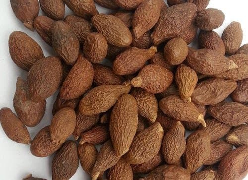 Dry Niranjan phal Niranjanphal China Fruit Malva Nuts Sterculia lychnophora - 100gm