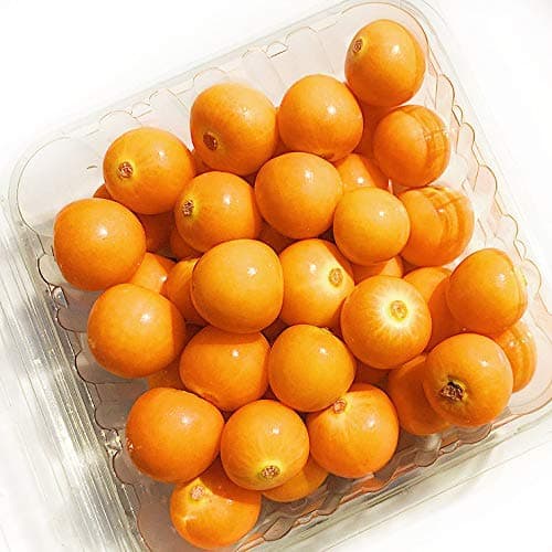 Kejora Fresh Golden Berries (3 Packs/15 oz)