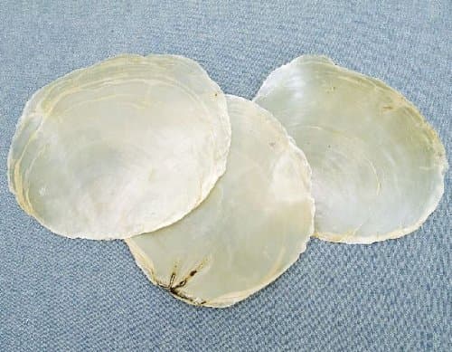 Mother of Pearl Shells 1 kg Approx. 9 – 11 cm