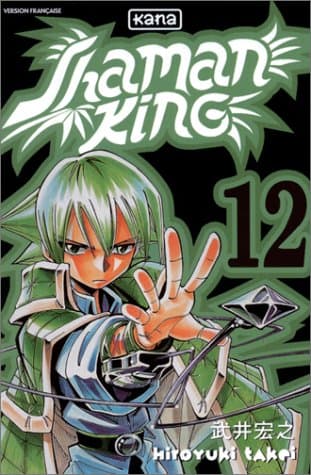 SHAMAN KING T12 (SHAMAN KING (12))