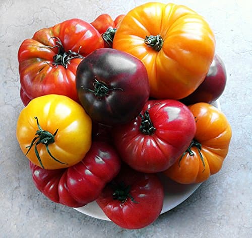This is A Mix 30 Rainbow Deluxe Tomato Seeds Mix 16 Varieties, Heirloom Non-GMO, Indeterminate, Old German, Chocolate Stripes, Ukrainian Purple, Amish Paste USA Grown Solanum lycoperscium