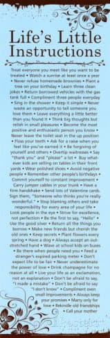 Life s Little Instructions 18-Inch by 24-Inch Poster Art Print
