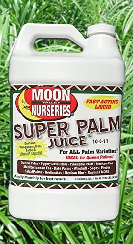 Super Palm Juice