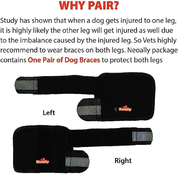NeoAlly - Front Leg Brace for Dogs and Cats, Dog Leg Brace for Improved Pet Mobility, Dog Leg Sleeve for Carpal Support, Dog Leg Sleeve with Reflective Straps, Large to XL, Black, 1 Pair