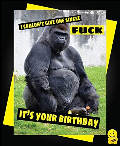 Cheeky Chops Funny Birthday Card Animals Banter Cheeky Humour Gorilla Monkey I Couldn't give one Single Fuck It's Your Birthday C334, Full colour, Large A5 Card