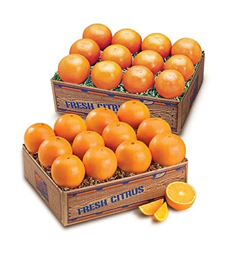 Juicy Indian River Florida Navel Oranges Grove Fresh 2 Trays, 20lbs