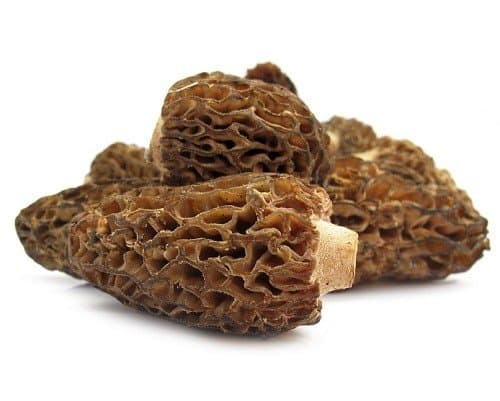 Fresh Frozen Morel Mushrooms - Northwest Wild Foods - Whole Raw Handpicked Foraged Natural Mushrooms for Gourmet Cooking - from Pacific Northwest (4 lb)