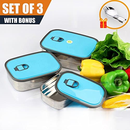 HOMMALY Stainless Steel Food Storage Container with leak-proof lids, reusable metal lunch box, sealed crisper bento box (blue)