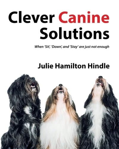 Clever Canine Solutions