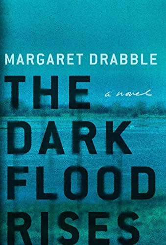 The Dark Flood Rises: A Novel Hardcover – February 14, 2017