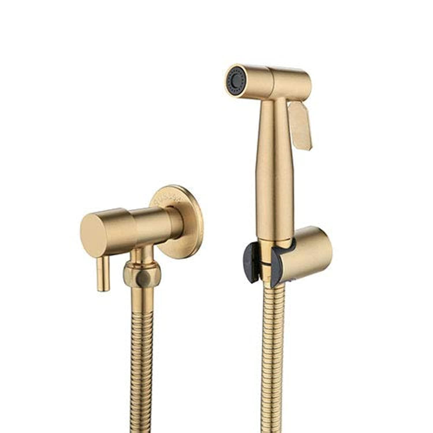 LOSCHEN 1/2NPT Stainless Steel Bidet Sprayer kit for Toilet,Hand Held Sprayer Shattaf Toilet Attachment for Pet Bath/Personal Hygiene/Bathroom/Closestool,Easy to Install (Brushed Gold)